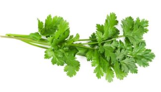Perejil (100 grs aprox)