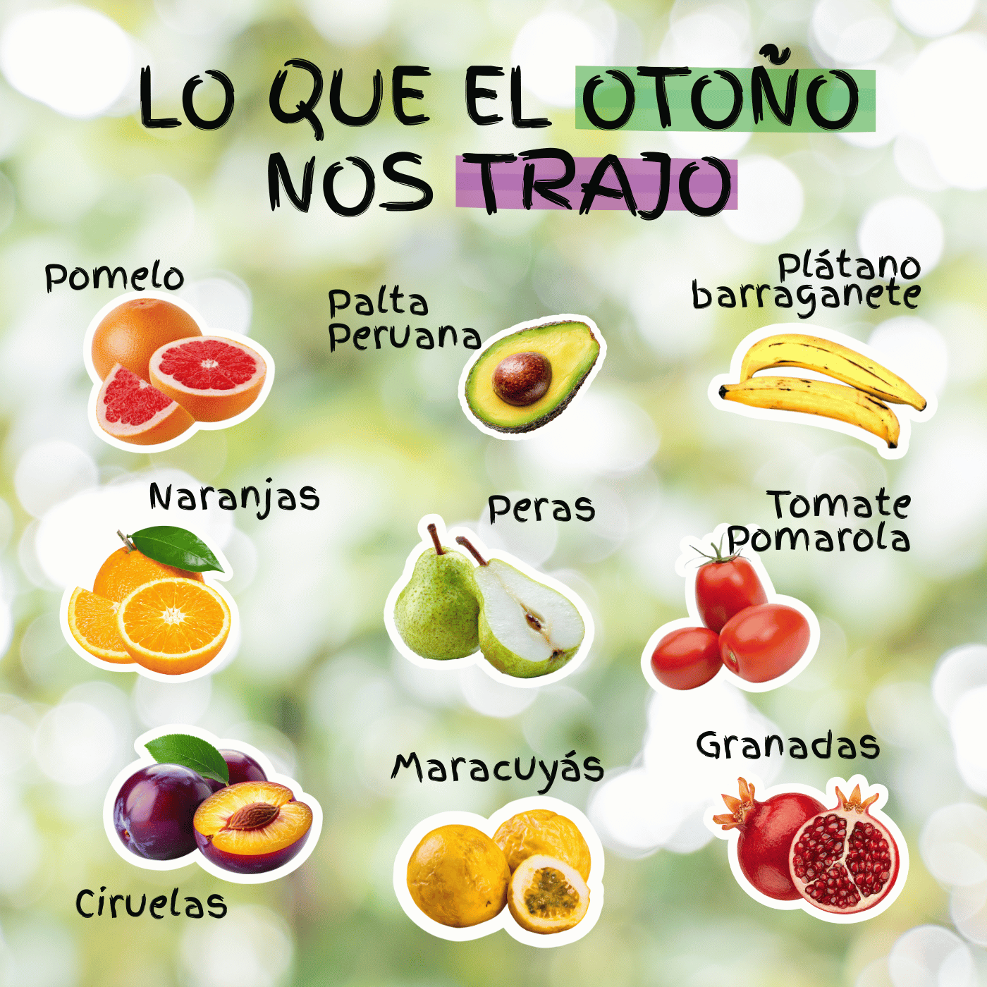 Frutas y verduras de otoño Frutas y verduras de otoño